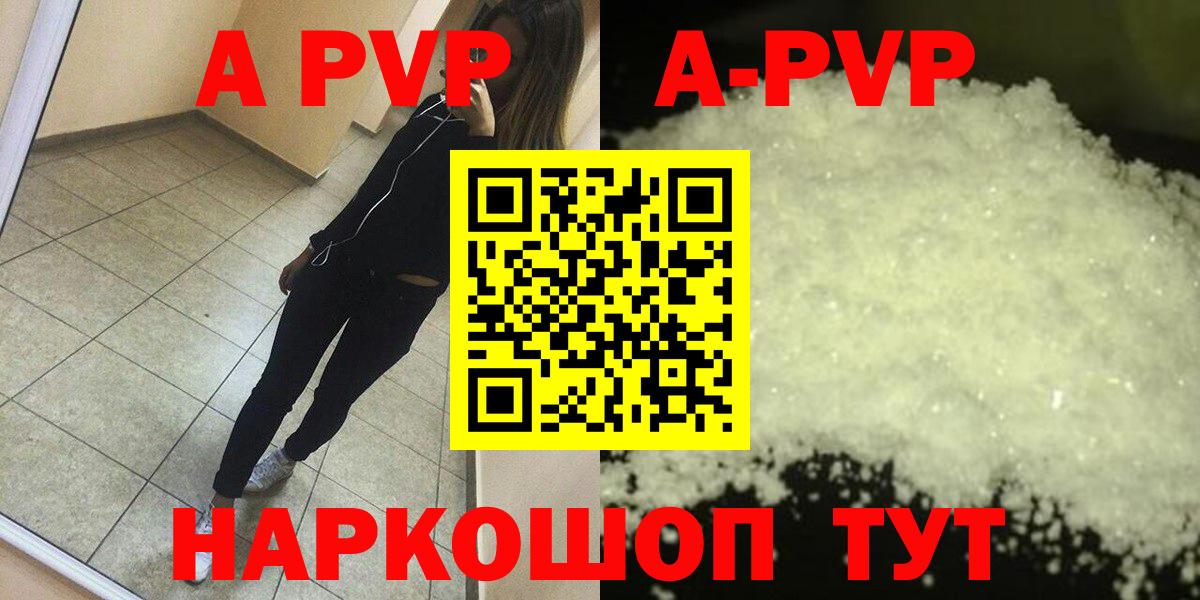 Alfa_PVP СК Сосновый Бор