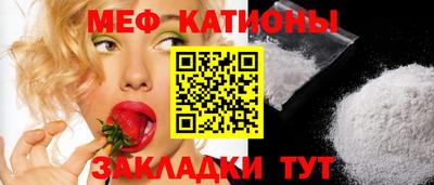 шишки Обь