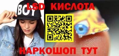 шишки Обь