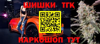 шишки Обь
