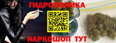 шишки Обь