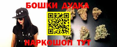 шишки Обь
