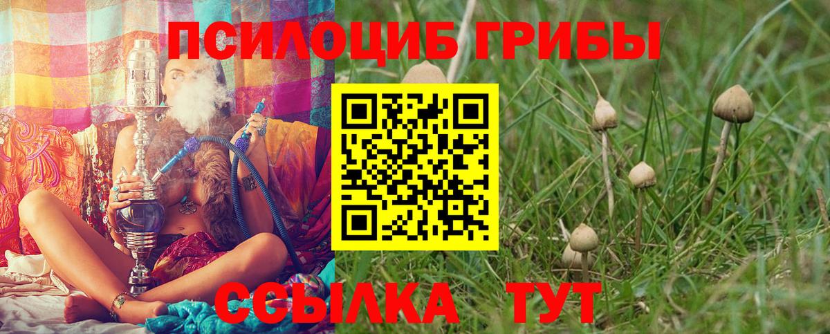 Галлюциногенные грибы мицелий Сосновый Бор