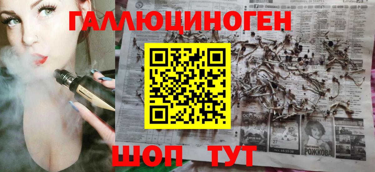 Сосновый Бор  Псилоцибиновые грибы ЛСД  Вход с VPN  Псилоцибиновые грибы мицелий 