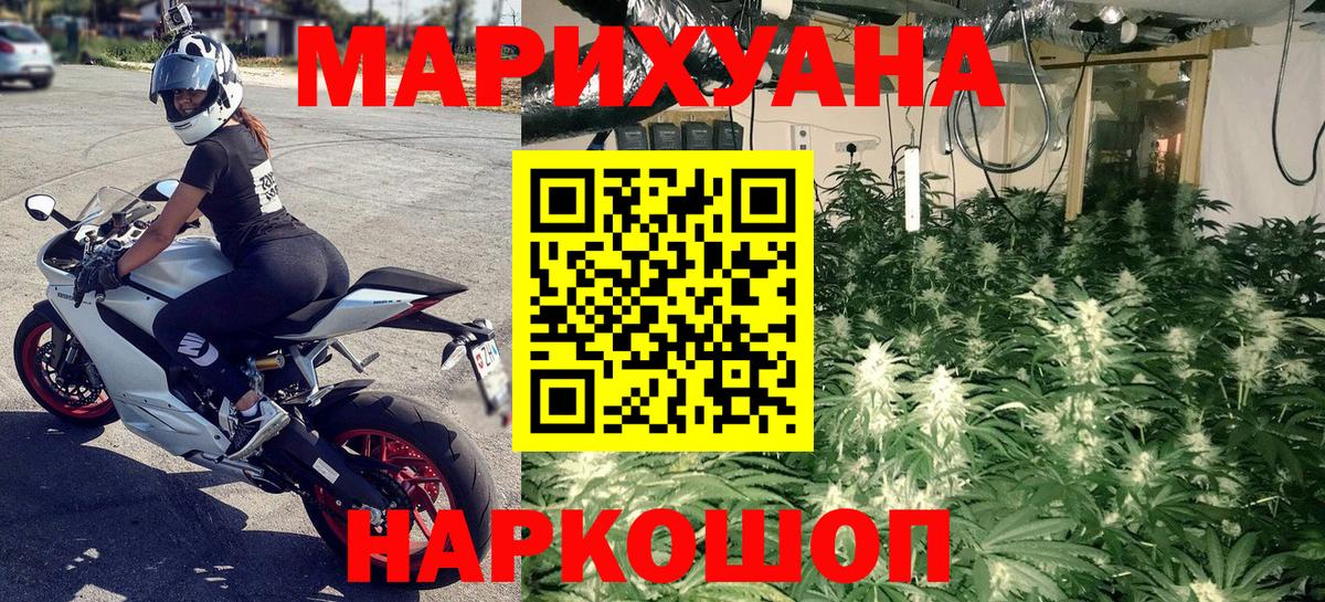 Канабис конопля Сосновый Бор